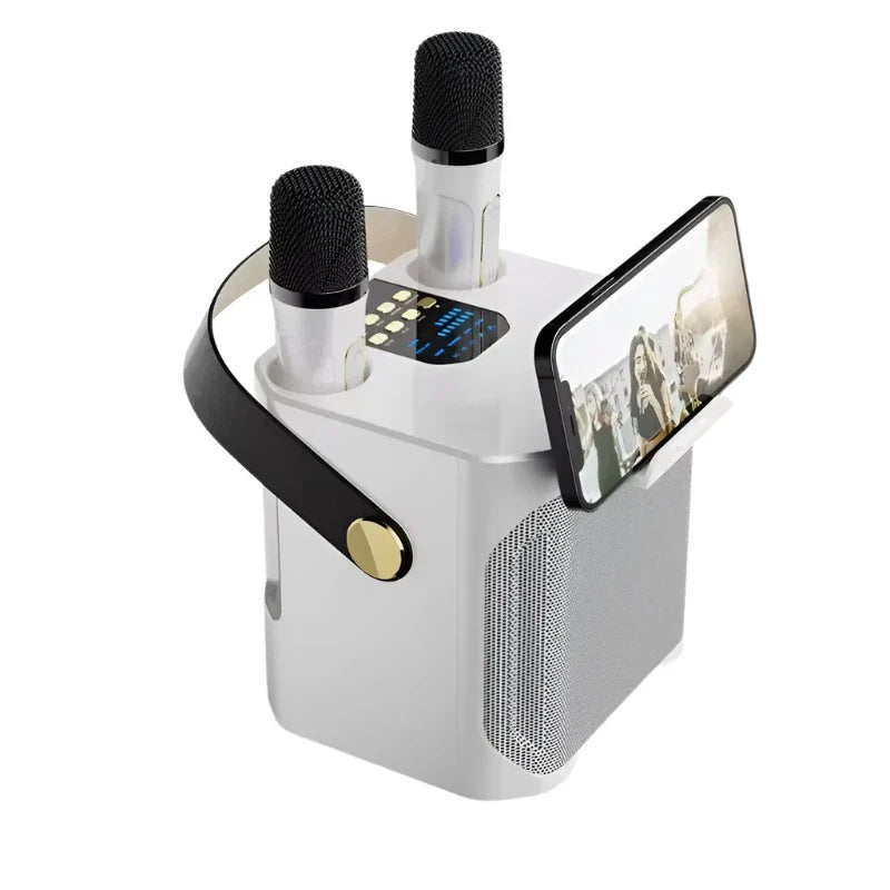 High Power Karaoke Bluetooth Speaker with Dual Microphone-0